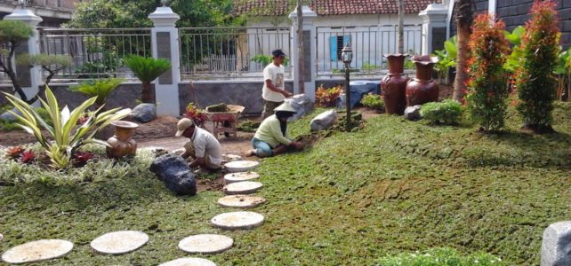 tukang rumput taman