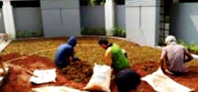 Jasa Tukang Taman dan Tukang Rumput Kalimalang, Pembuat Taman Kalimalang